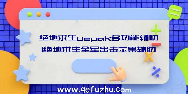 「绝地求生uepak多功能辅助」|绝地求生全军出击苹果辅助
